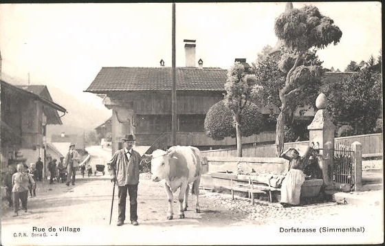 <p>Belebte Dorfstrasse mit Kuh , Karte Top Zustand</p>